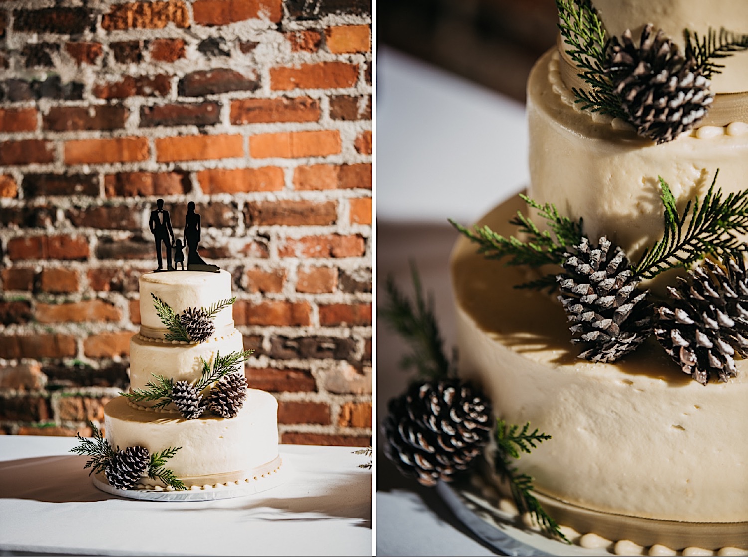 3-tier-cake-with-pinecones-and-family-topper
